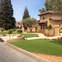 Artificial Grass Carpet Ali Molina, Arizona Landscape Ideas, Small Front Yard Landscaping