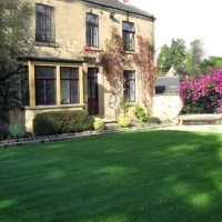 Artificial Grass Carpet Fortuna Foothills, Arizona Roof Top, Front Yard Design