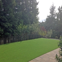 Artificial Grass Carpet Strawberry, Arizona Landscaping, Backyard