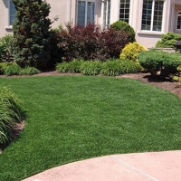 Artificial Grass Christopher Creek, Arizona City Landscape, Front Yard Ideas