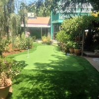 Artificial Grass Fort Apache, Arizona Landscaping Business