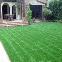 Artificial Lawn Ash Fork, Arizona Roof Top, Front Yard Ideas