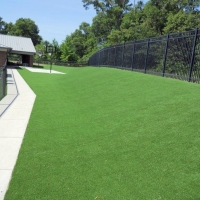 Artificial Lawn Heber-Overgaard, Arizona Backyard Deck Ideas, Commercial Landscape