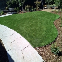 Artificial Lawn Saint David, Arizona Backyard Playground, Front Yard Design