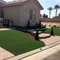 Artificial Lawn Williamson, Arizona Design Ideas, Front Yard