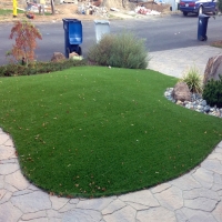 Artificial Turf Cost Cactus Flat, Arizona Home And Garden