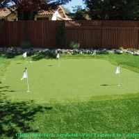 Artificial Turf Cost Gila Crossing, Arizona Golf Green, Backyard Landscaping Ideas