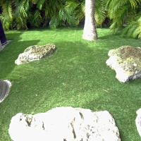 Artificial Turf Cost San Tan Valley, Arizona Landscaping, Backyard Ideas