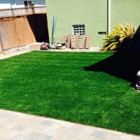 Artificial Turf Dolan Springs, Arizona Lawns, Backyard Landscaping