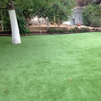 Artificial Turf New River, Arizona Paver Patio, Backyard Design