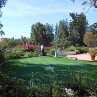 Best Artificial Grass Shungopavi, Arizona Putting Green Grass, Backyard Makeover