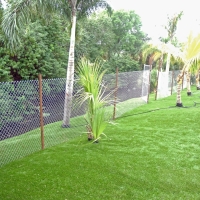 Fake Grass Benson, Arizona Lawn And Landscape, Backyard Design