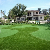 Fake Grass Carpet Cibola, Arizona City Landscape, Front Yard