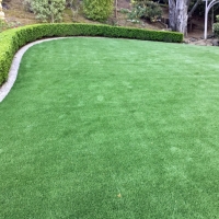 Fake Grass Carpet Mesa del Caballo, Arizona Design Ideas, Backyard Landscaping