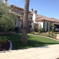 Fake Grass Carpet Sevenmile, Arizona Gardeners, Front Yard