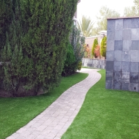 Fake Grass Central, Arizona Design Ideas, Commercial Landscape