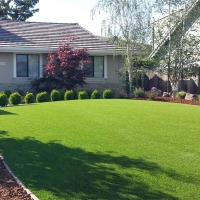 Fake Grass Chiawuli Tak, Arizona Landscaping Business, Small Front Yard Landscaping