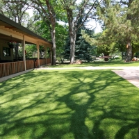 Fake Grass Rio Rico, Arizona Landscaping, Backyards