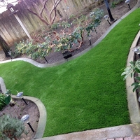 Fake Grass Vaiva Vo, Arizona Landscape Ideas, Backyard Landscaping