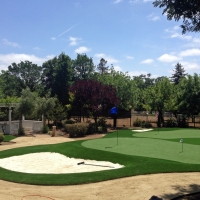 Fake Grass Wenden, Arizona Lawn And Garden, Front Yard Landscape Ideas