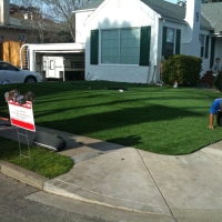 Fake Lawn Flowing Wells, Arizona Gardeners, Front Yard Ideas