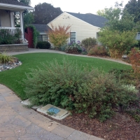 Fake Lawn Greer, Arizona Rooftop, Front Yard Ideas