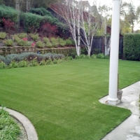 Fake Lawn Hackberry, Arizona Dog Pound, Small Backyard Ideas