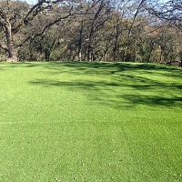 Fake Lawn Wintersburg, Arizona Landscape Design, Recreational Areas