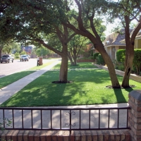 Fake Turf Elgin, Arizona Lawn And Garden, Small Front Yard Landscaping