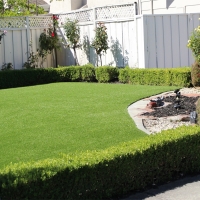 Faux Grass Anegam, Arizona Garden Ideas, Front Yard