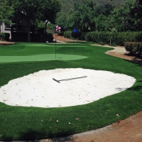 Faux Grass Chino Valley, Arizona Indoor Putting Green, Small Front Yard Landscaping