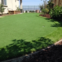 Faux Grass Comobabi, Arizona Home And Garden, Backyard Landscaping