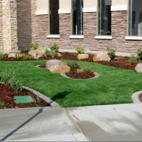 Faux Grass Ehrenberg, Arizona Landscape Ideas, Commercial Landscape