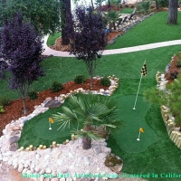 Faux Grass Phoenix, Arizona Design Ideas, Small Backyard Ideas