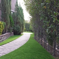 Faux Grass Tolani Lake, Arizona Landscaping, Front Yard