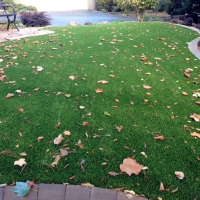 Grass Carpet Bryce, Arizona Home And Garden, Front Yard Design