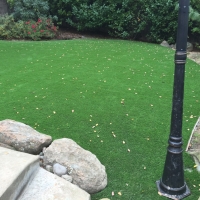 Grass Carpet Kearny, Arizona Landscaping Business, Backyard Designs