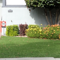 Grass Carpet Somerton, Arizona Landscaping Business, Front Yard Design