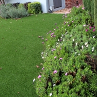 Grass Installation Elfrida, Arizona Design Ideas, Front Yard Landscaping Ideas