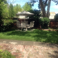 Green Lawn San Miguel, Arizona Roof Top, Backyard