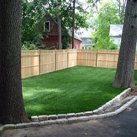 Green Lawn Tuba City, Arizona Cat Grass, Backyard Landscaping