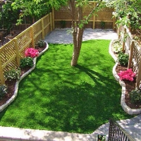 Lawn Services Gold Camp, Arizona Garden Ideas, Backyard Landscape Ideas