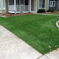 Outdoor Carpet Cibecue, Arizona Rooftop, Front Yard