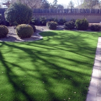 Outdoor Carpet Cienega Springs, Arizona Landscape Ideas, Front Yard Landscape Ideas