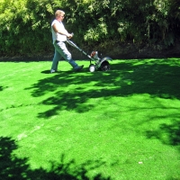 Plastic Grass Comobabi, Arizona Paver Patio, Backyard Ideas