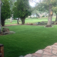 Plastic Grass Linden, Arizona Landscape Photos, Front Yard Ideas