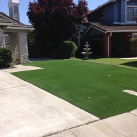 Plastic Grass Munds Park, Arizona Rooftop, Front Yard Ideas