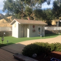 Plastic Grass Pisinemo, Arizona Lawn And Garden, Commercial Landscape