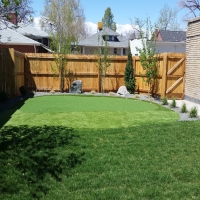 Plastic Grass Washington Park, Arizona Landscape Rock, Backyard Landscape Ideas