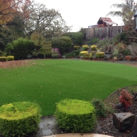 Synthetic Grass Cost Ali Chukson, Arizona Lawns, Backyard Landscaping Ideas